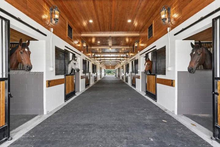 Horses Virtual Staged