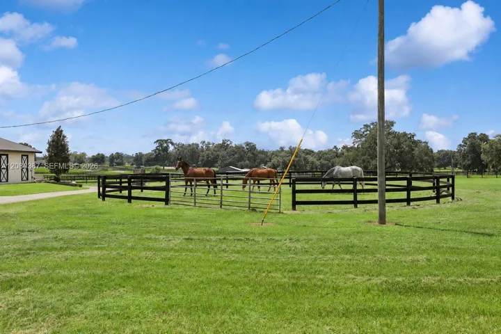 Horses Virtual Staged