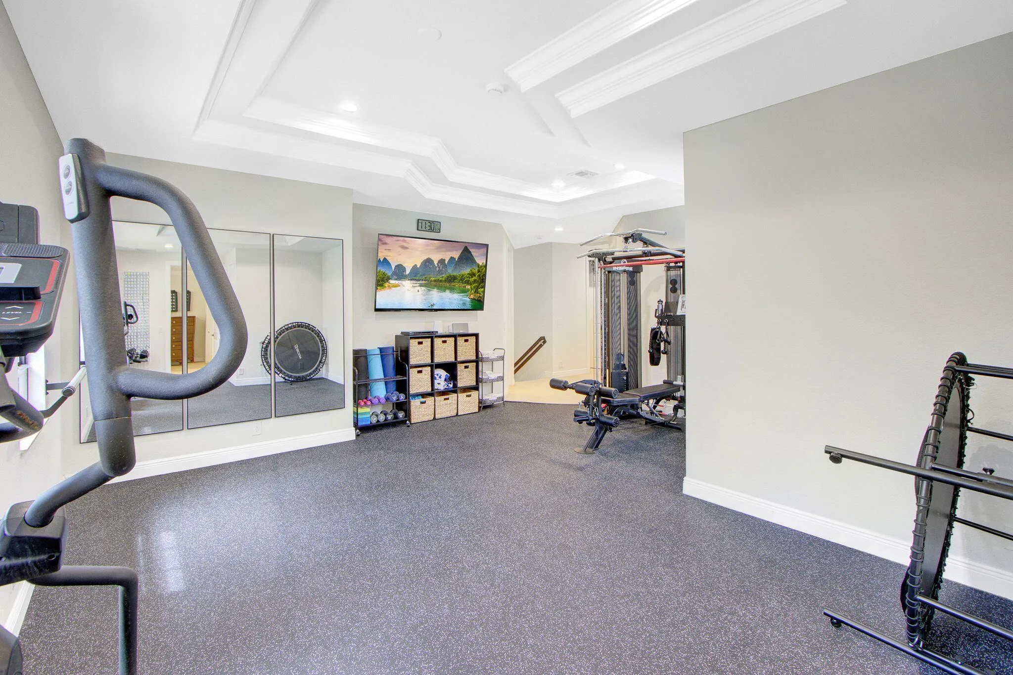 Loft / Home Gym