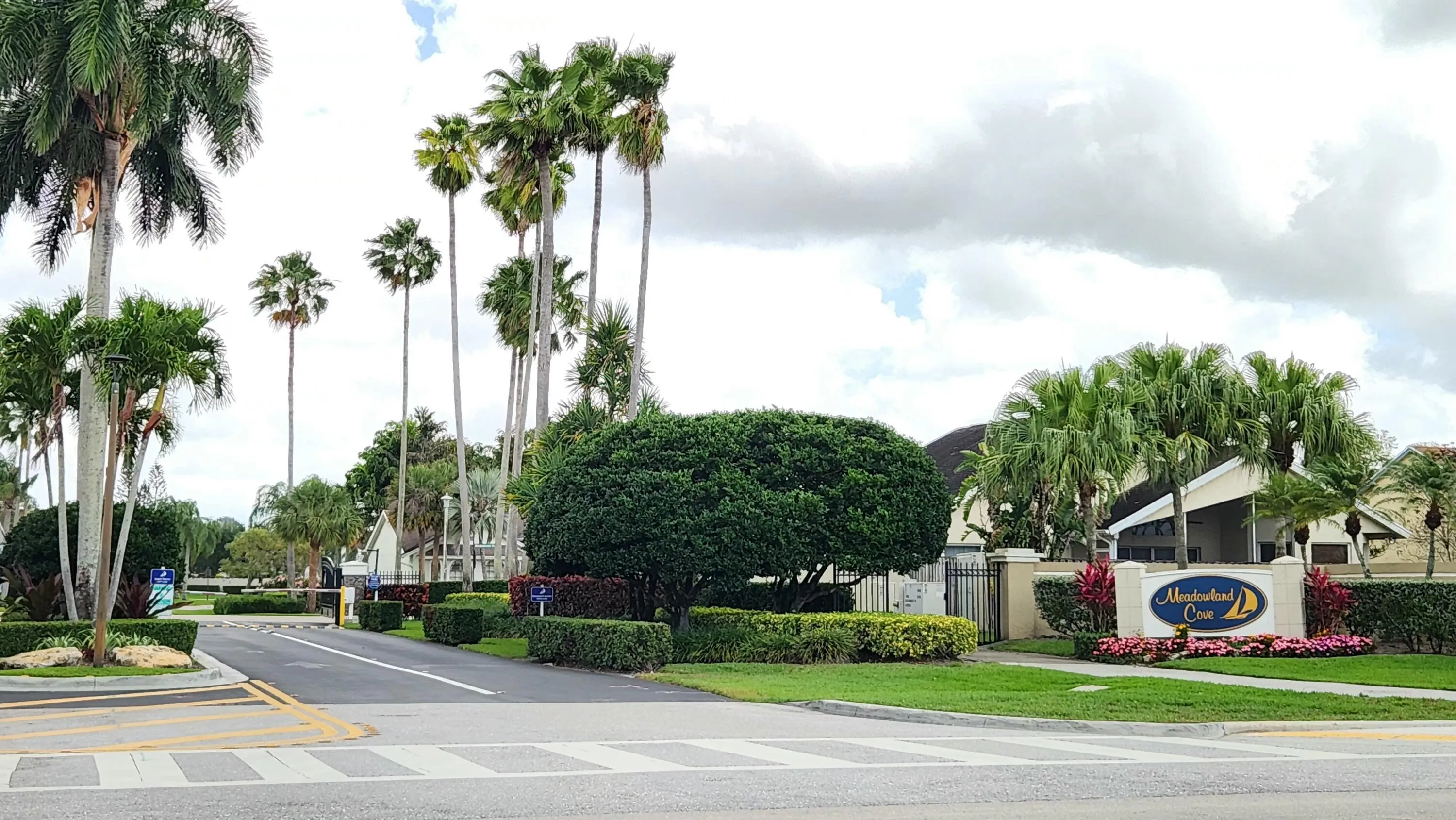 Entryway featuring mature palm trees, manicured hedges, and a prominent community sign