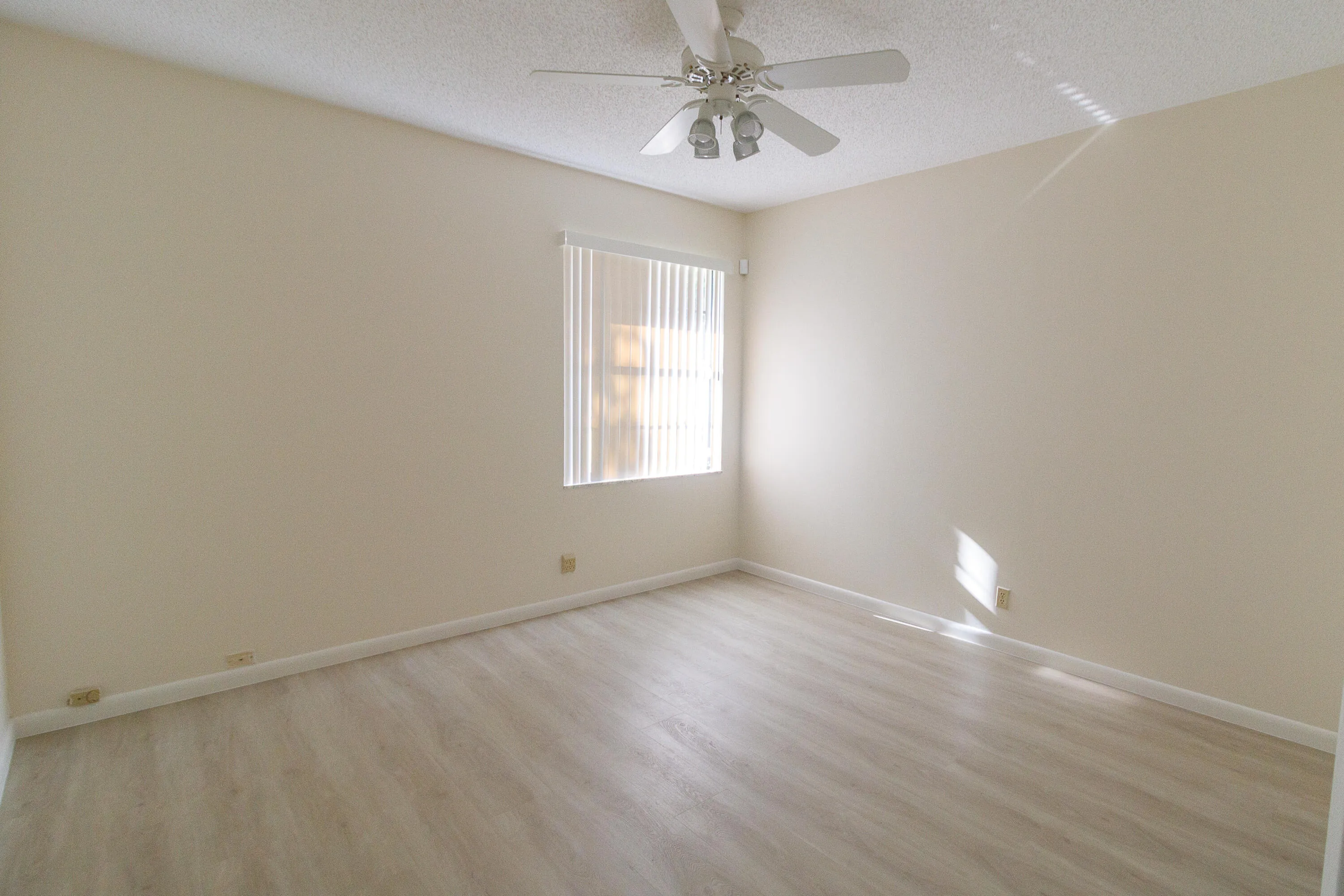 Royal Palm court-2949