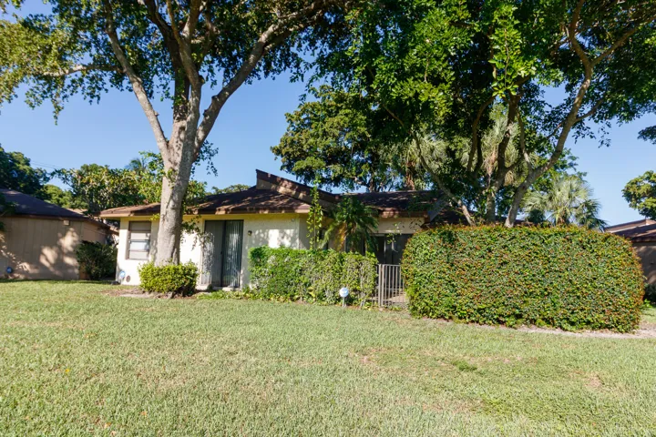 back yard (3)