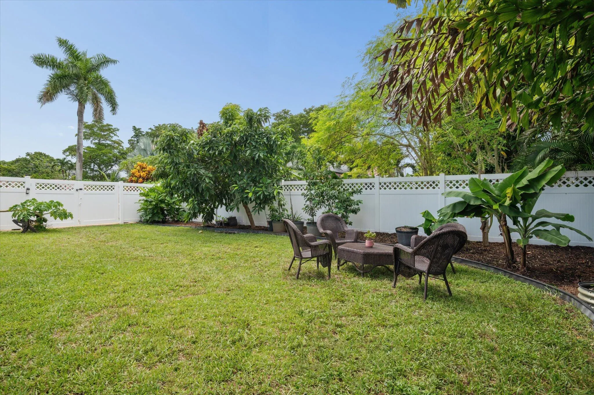 Side Yard