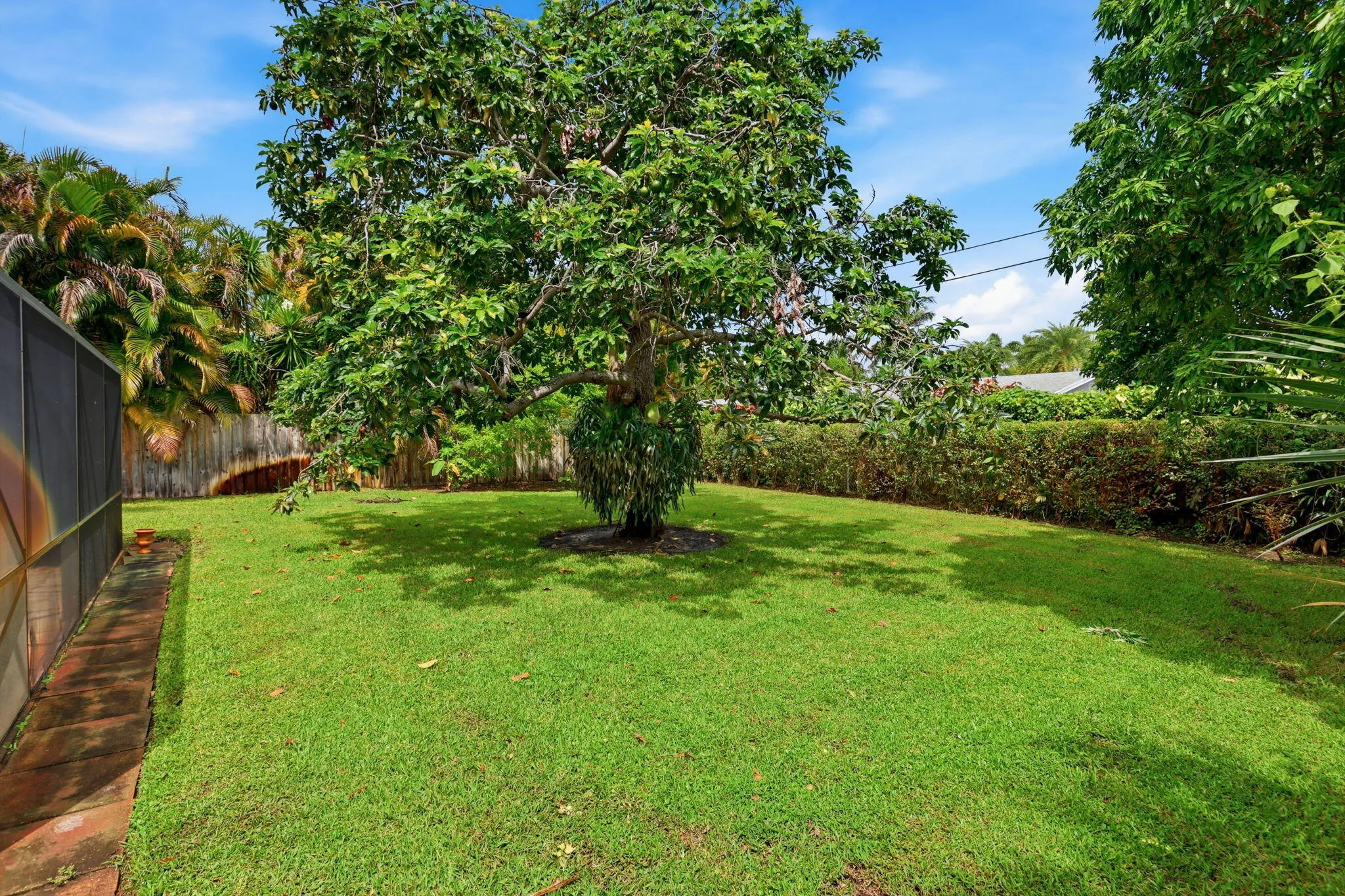 Backyard