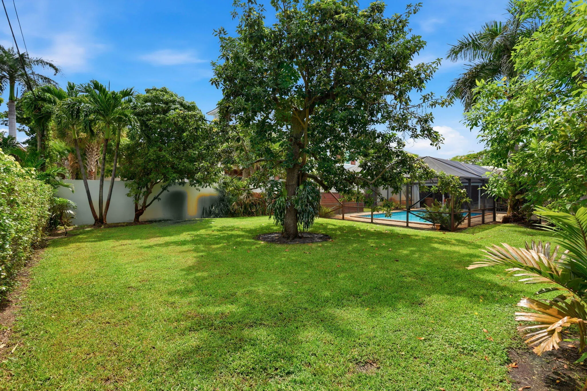 Backyard
