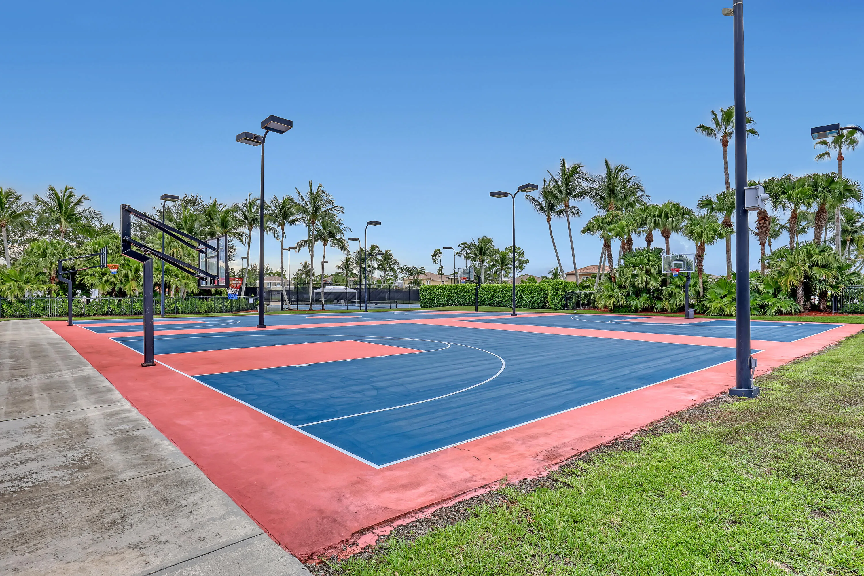 Basketball