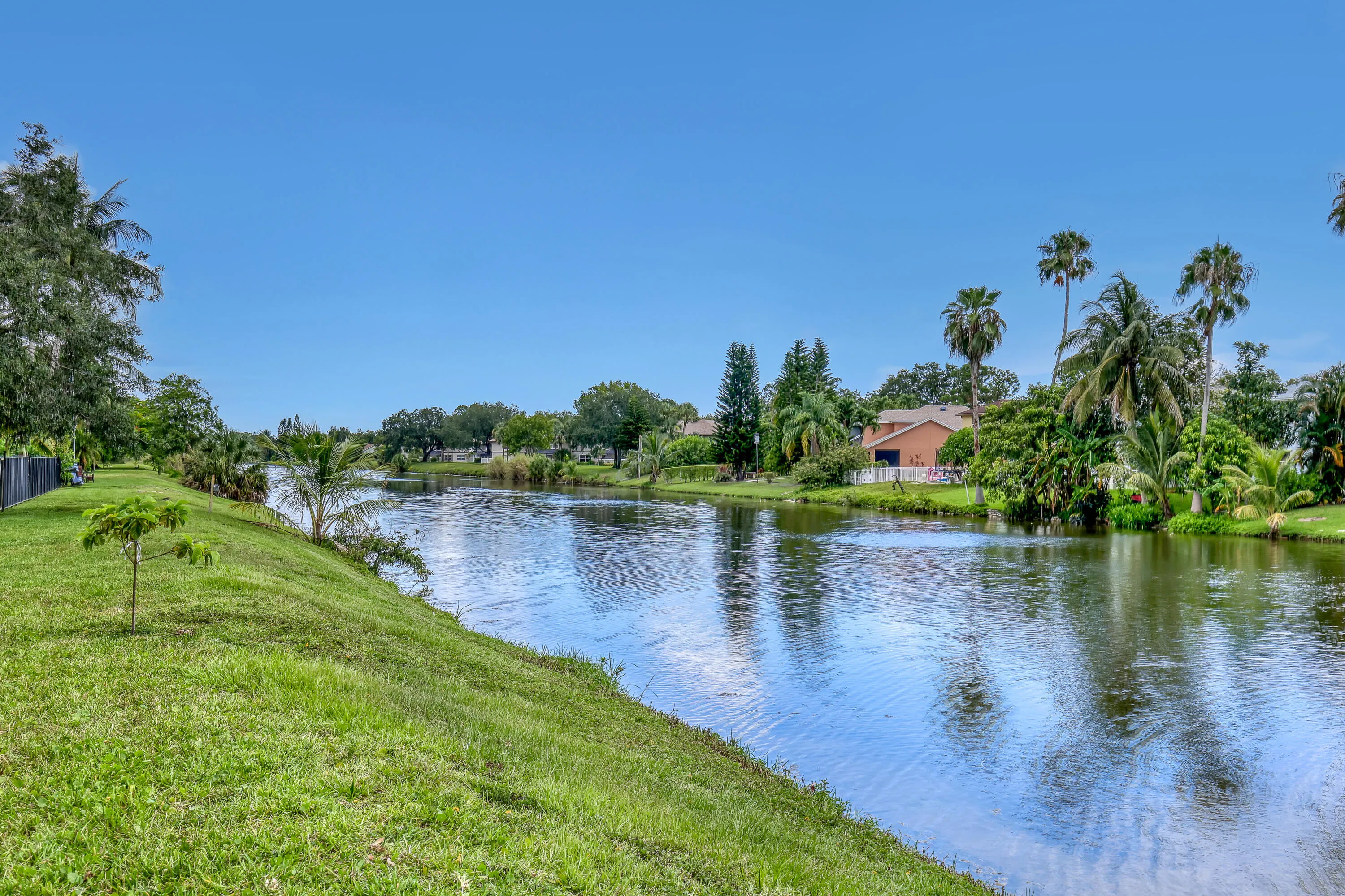 Backyard View