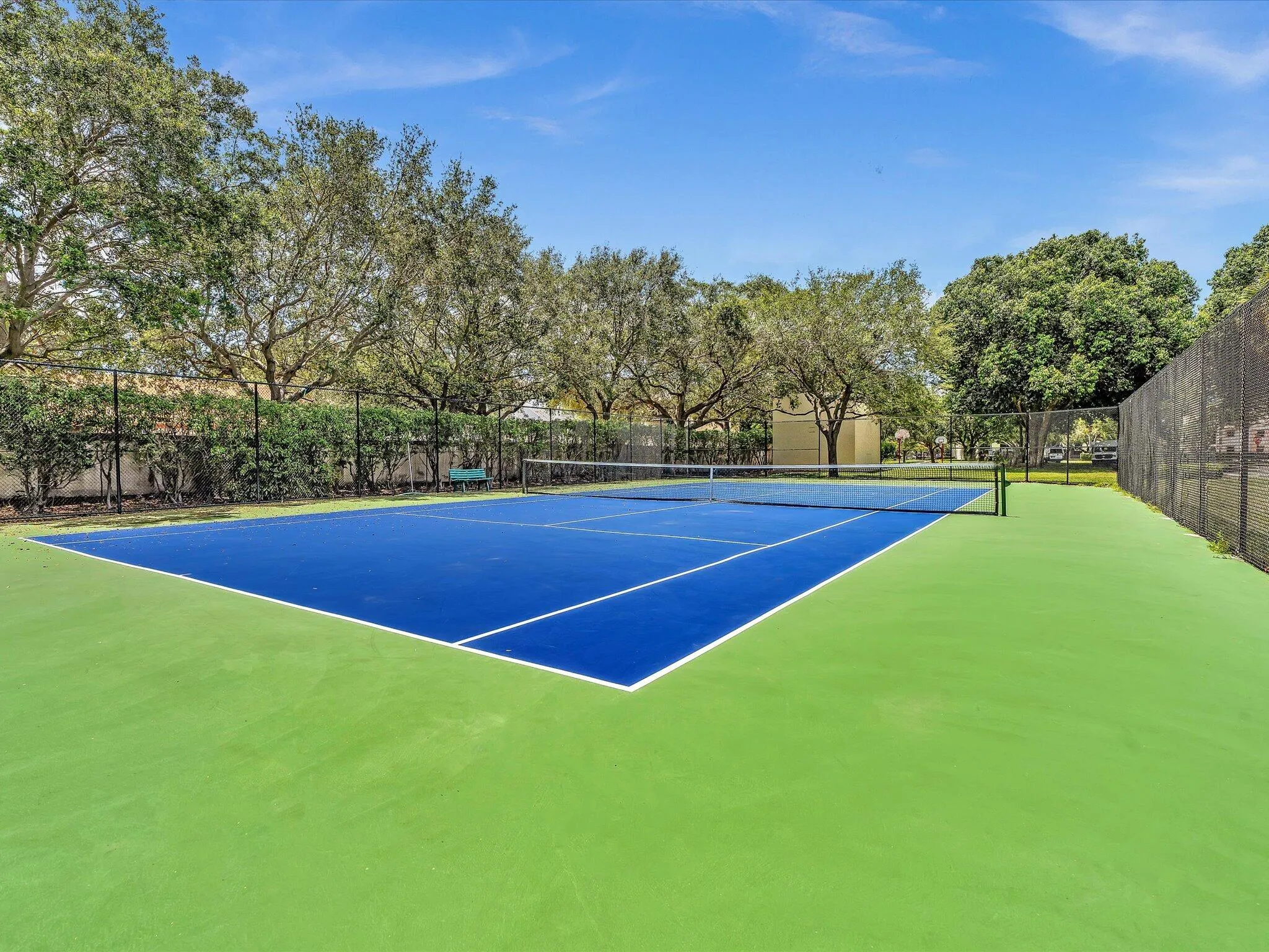 Pickleball and tennis