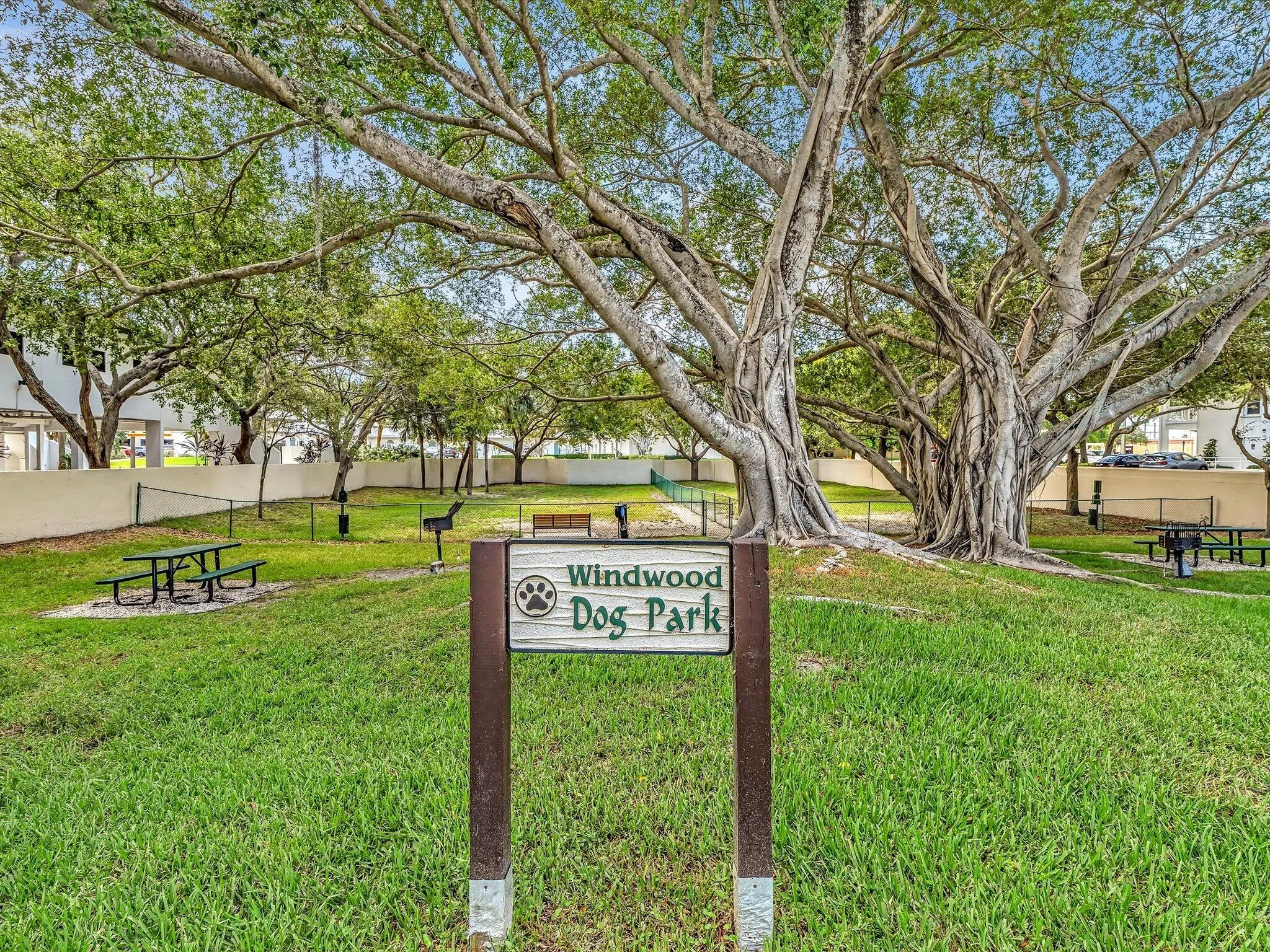 Dog Park