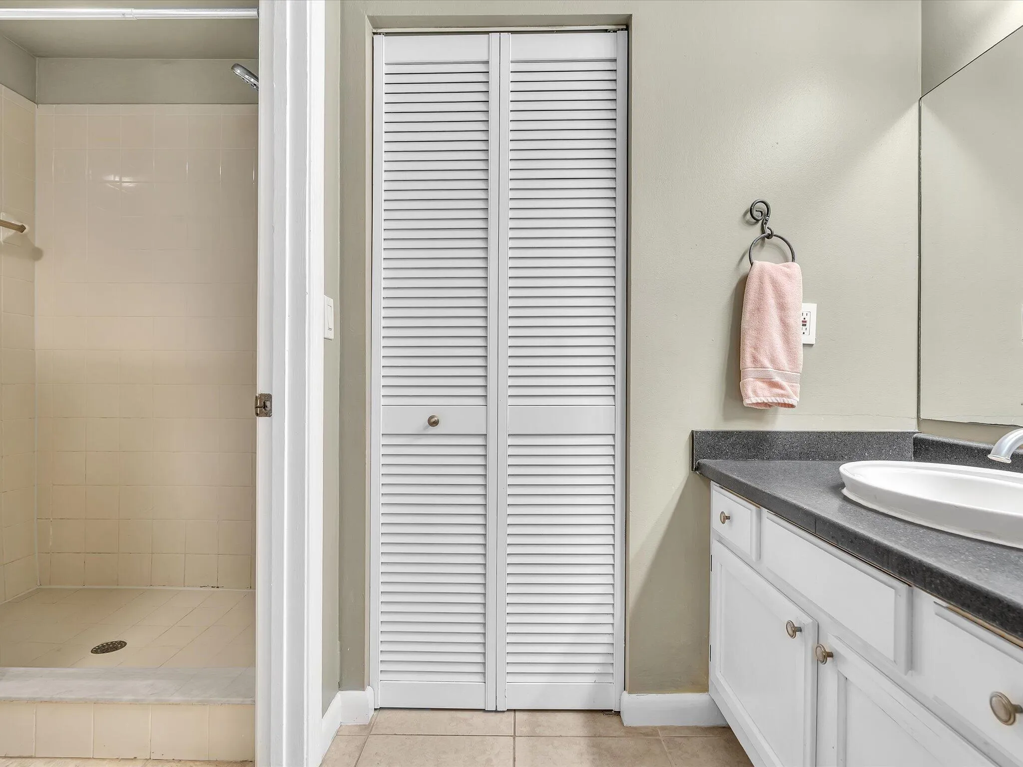 Primary bedroom with walk-in closet