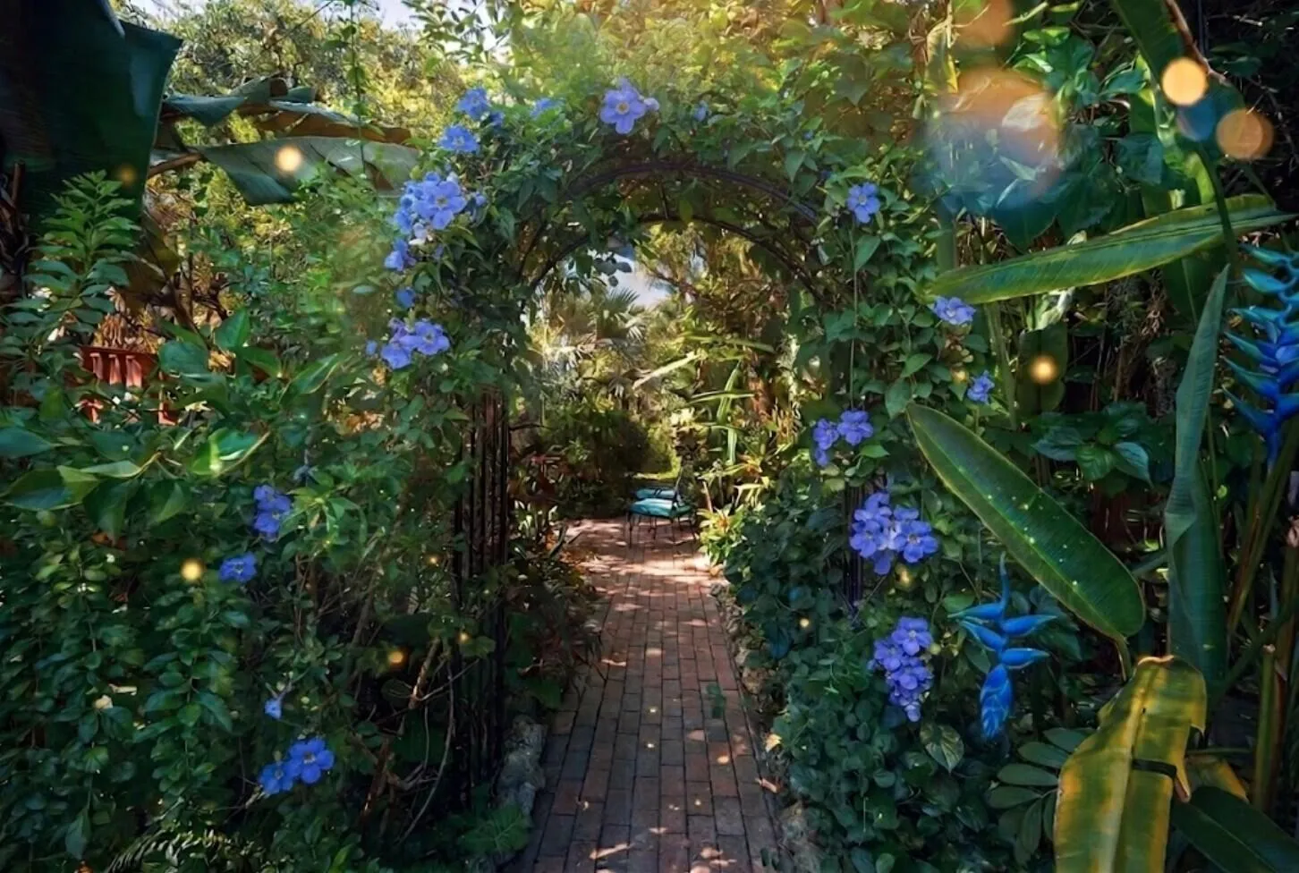 126 S A Street blue blossom arc