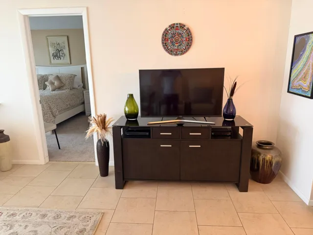 LIVING ROOM TELEVISION