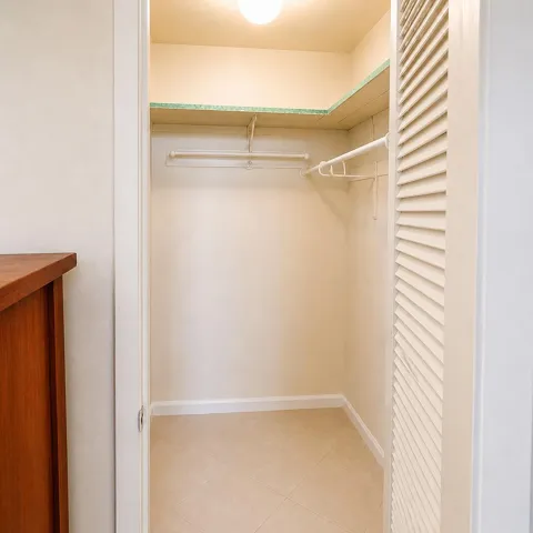 Guest bedroom walk in closet