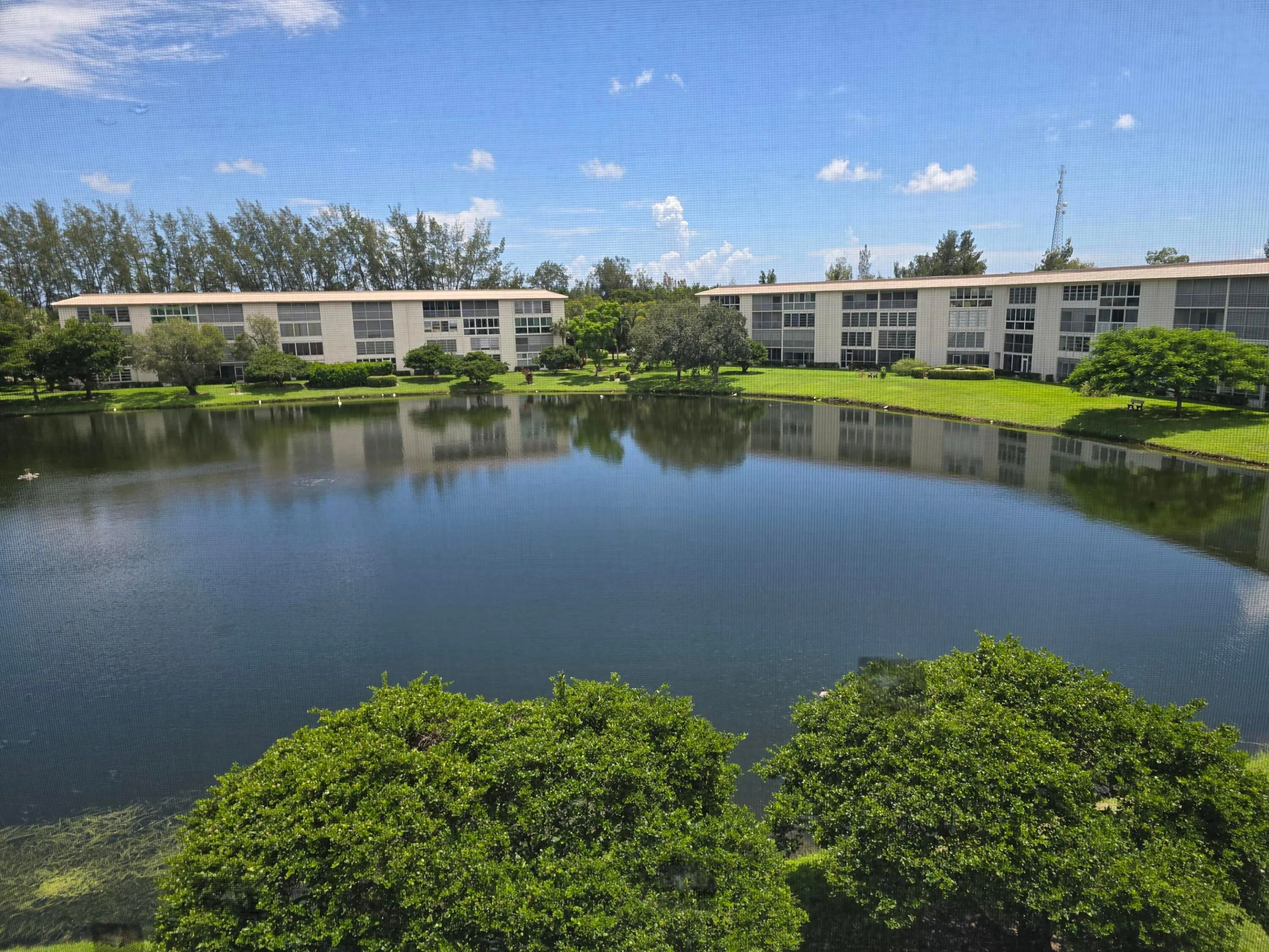 View from the Patio