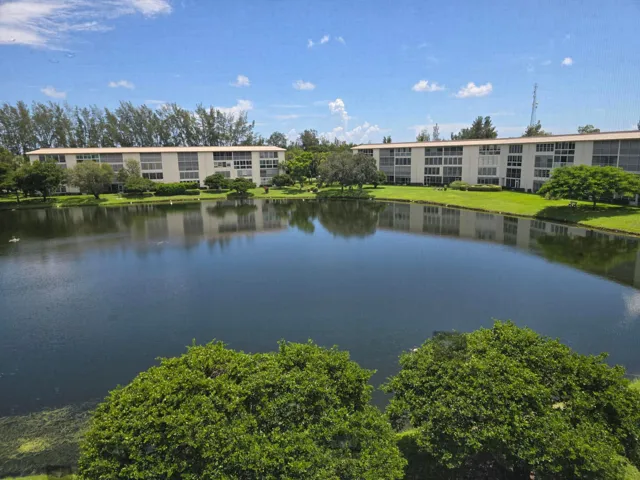 View from the Patio