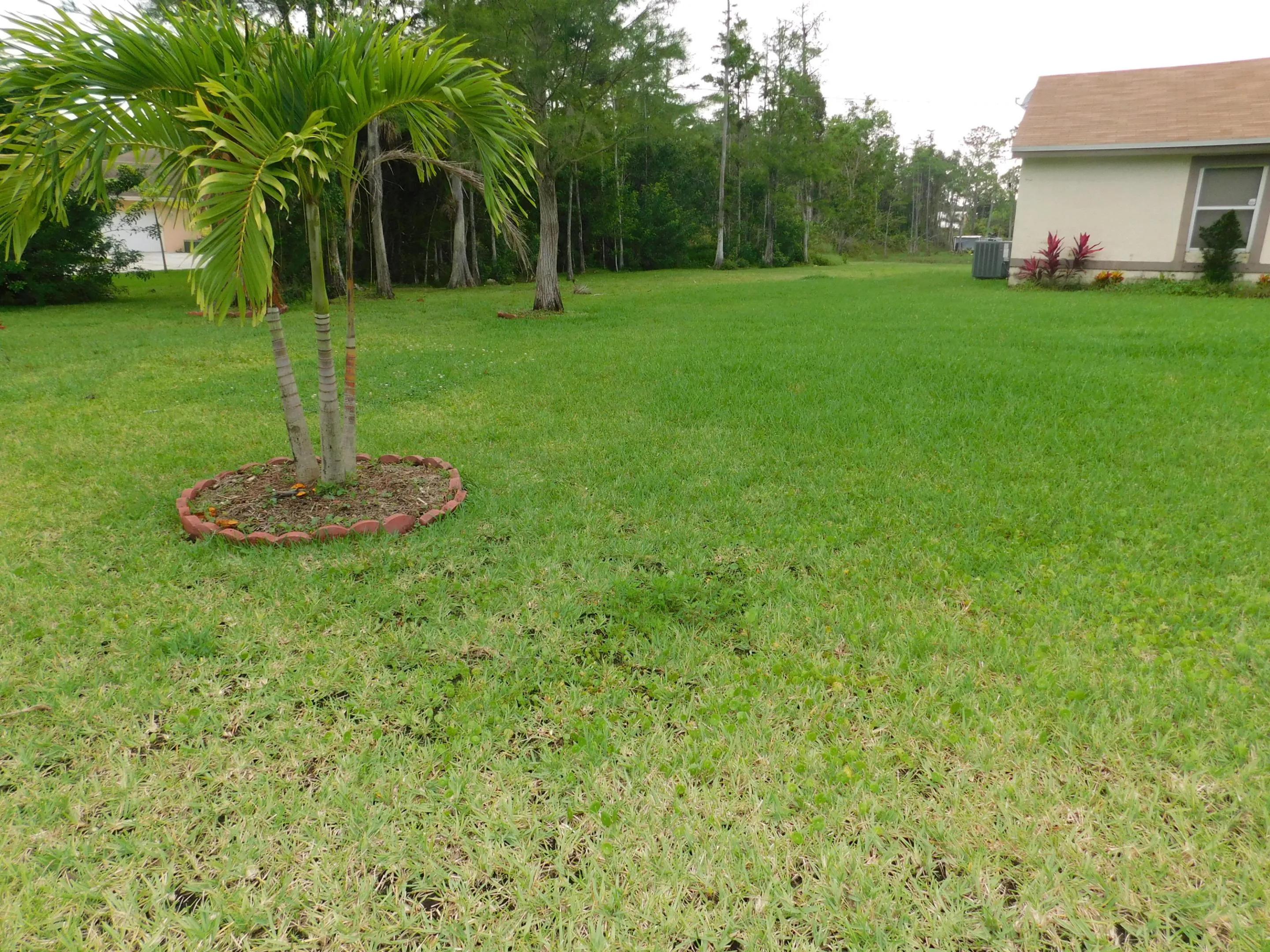 FRONT YARD