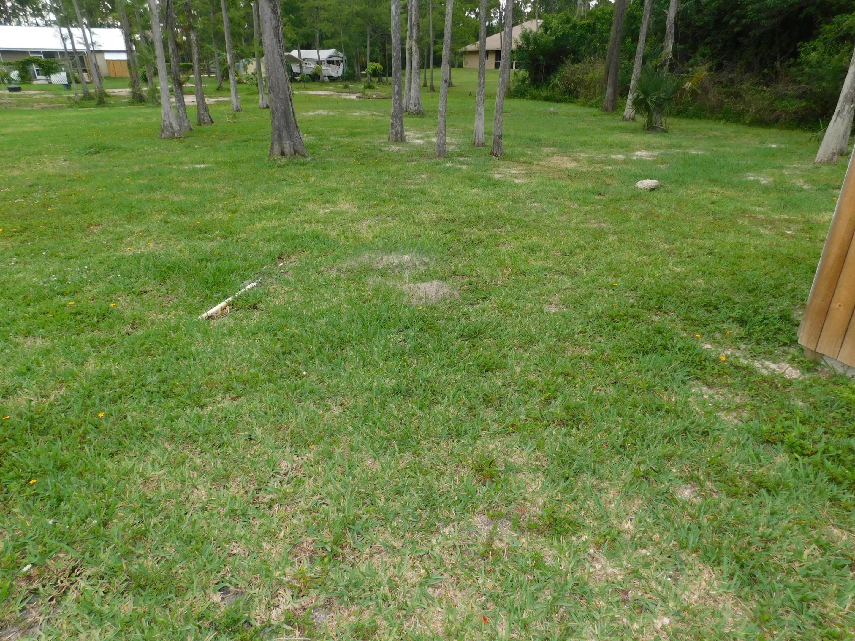 BACK YARD