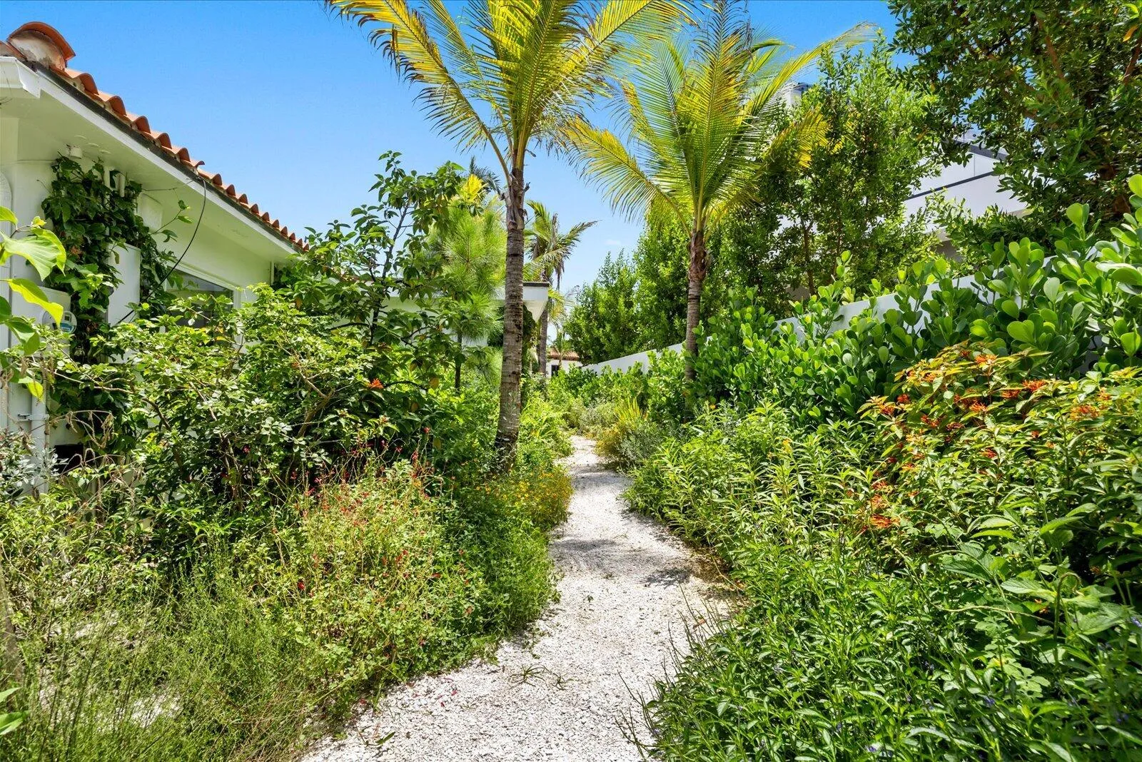 Outdoor Oasis