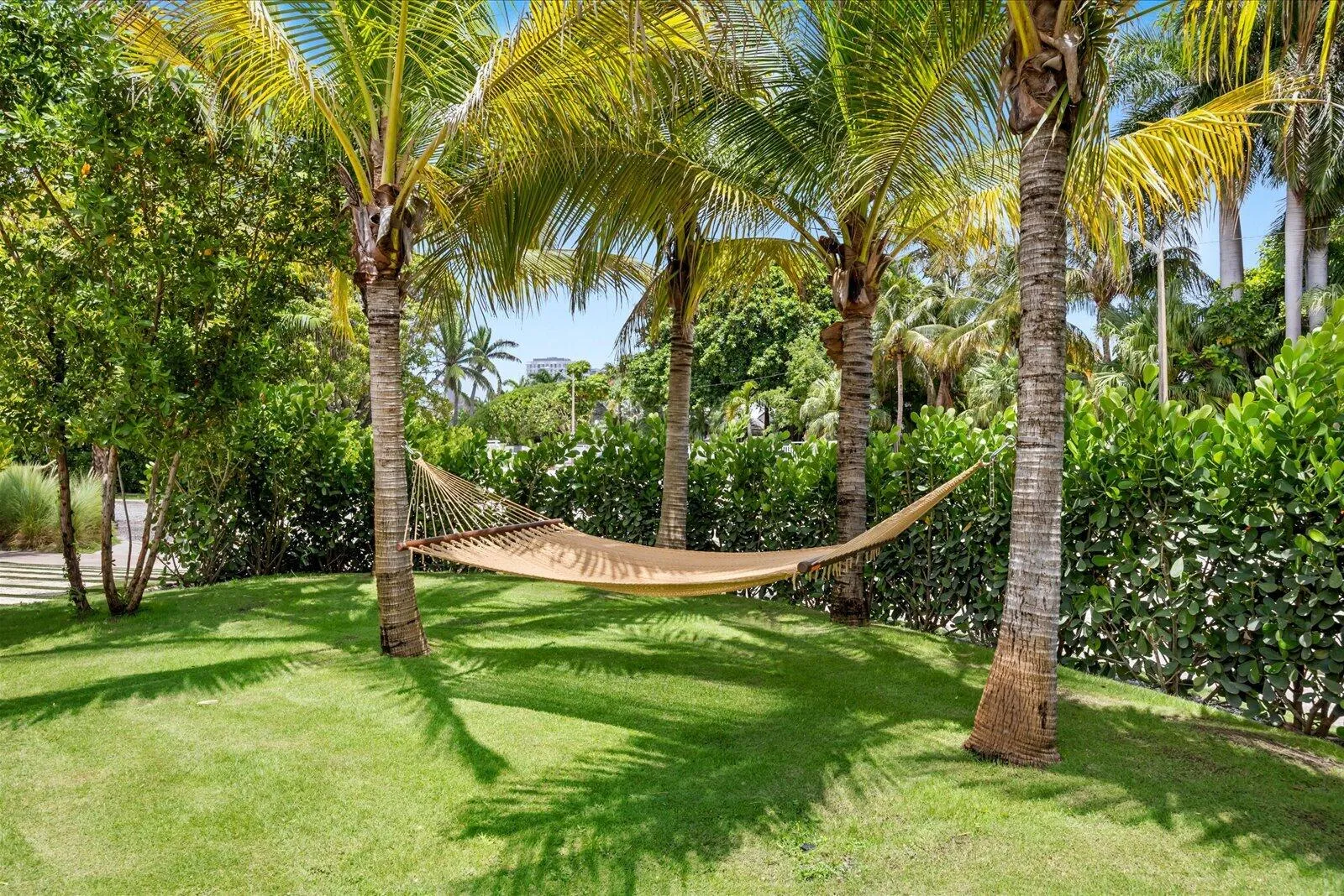 Outdoor Oasis
