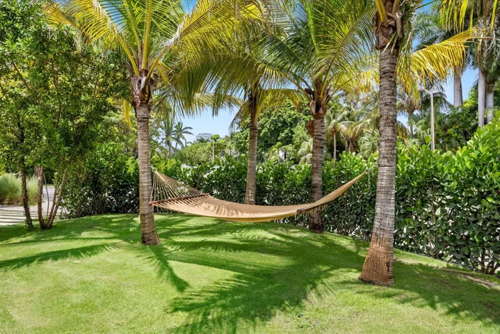 Outdoor Oasis