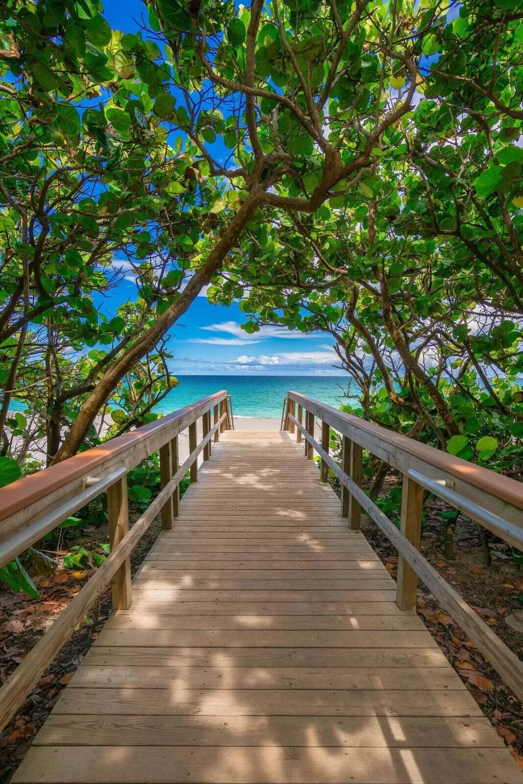 Jupiter Beach
