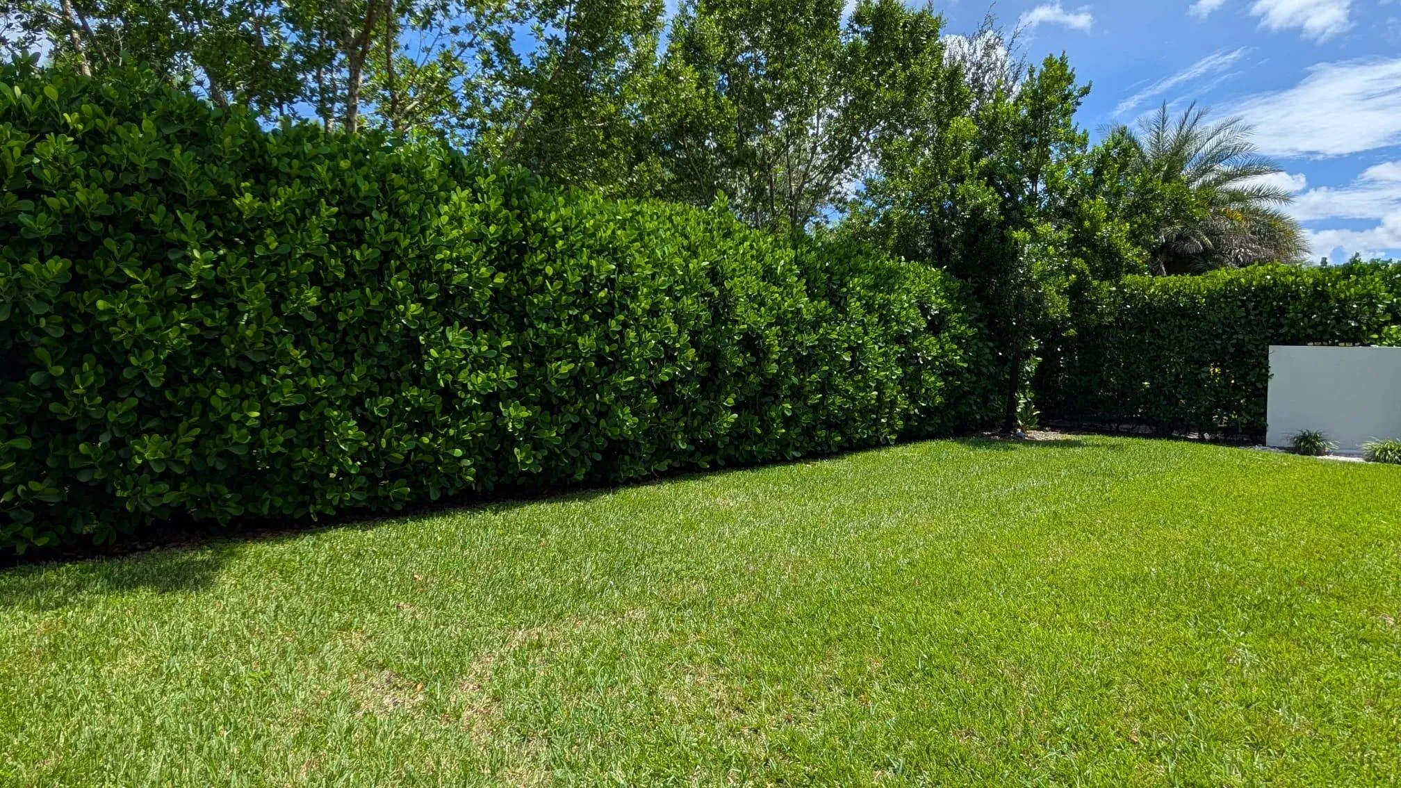 Property photo 73