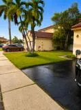 Manicured lawn, mature palm trees, paved driveway, and concrete sidewalk