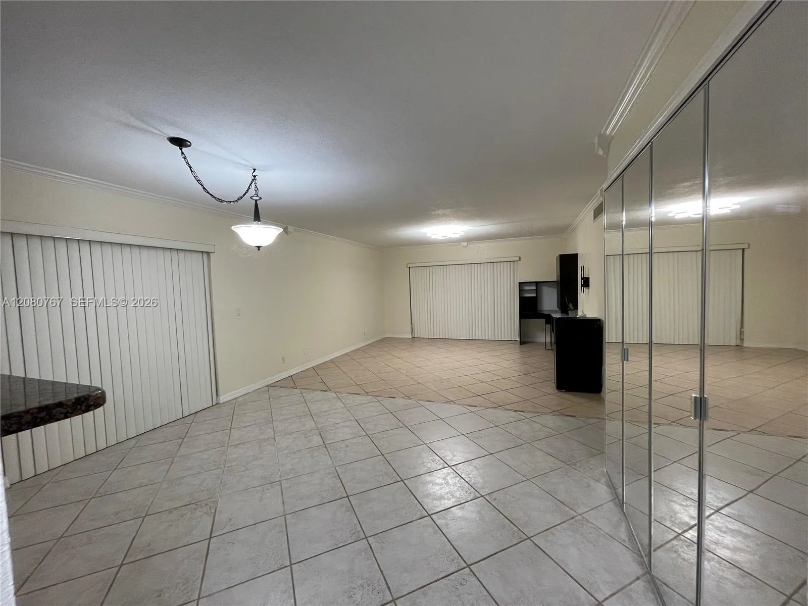Dining & Living Room
