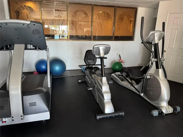 Dedicated fitness space featuring a treadmill, recumbent bike, and elliptical machine