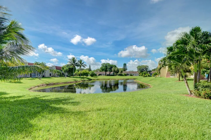 Manicured lawn surrounding a pond with mature palm trees
