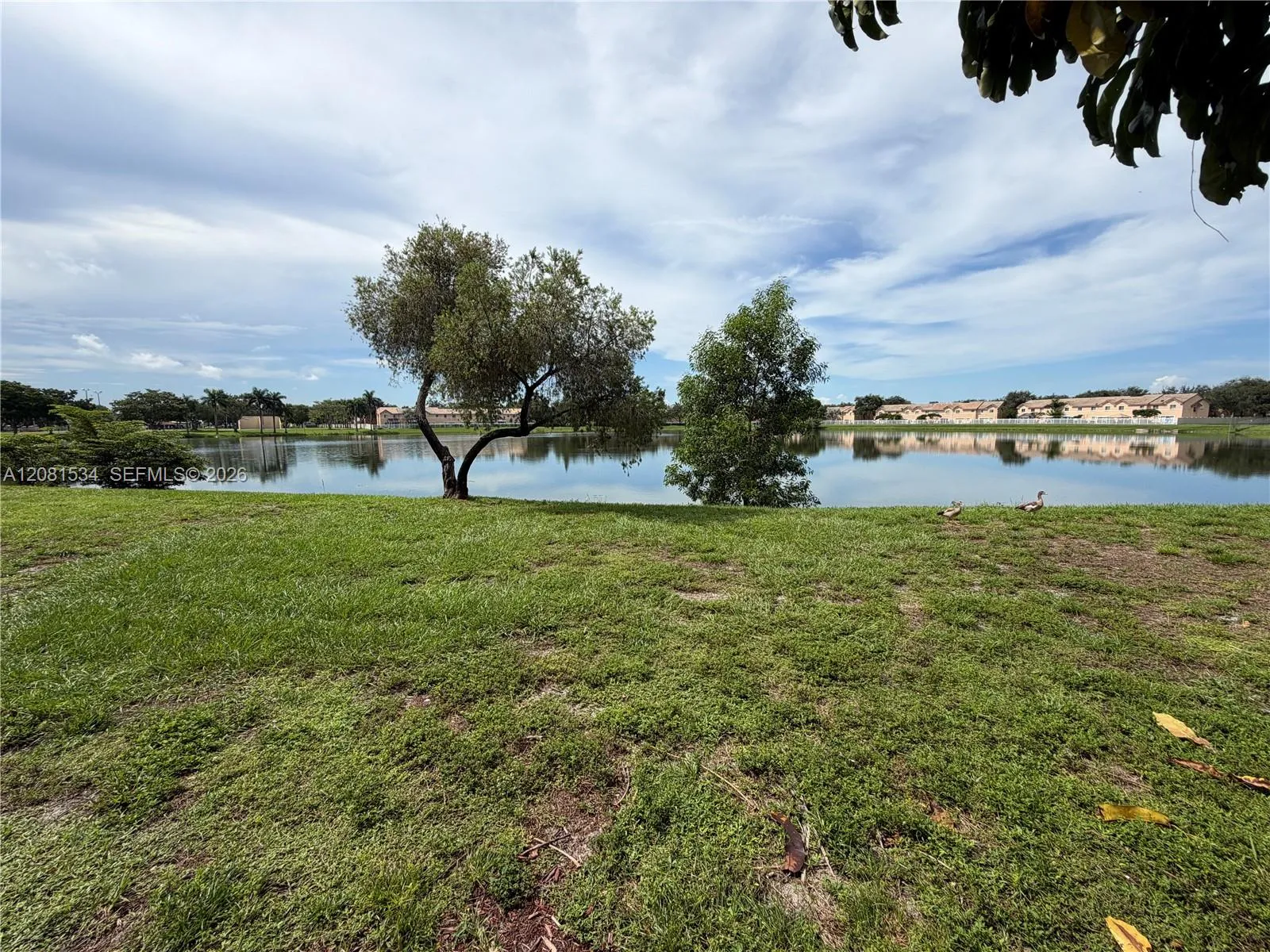 Lake View