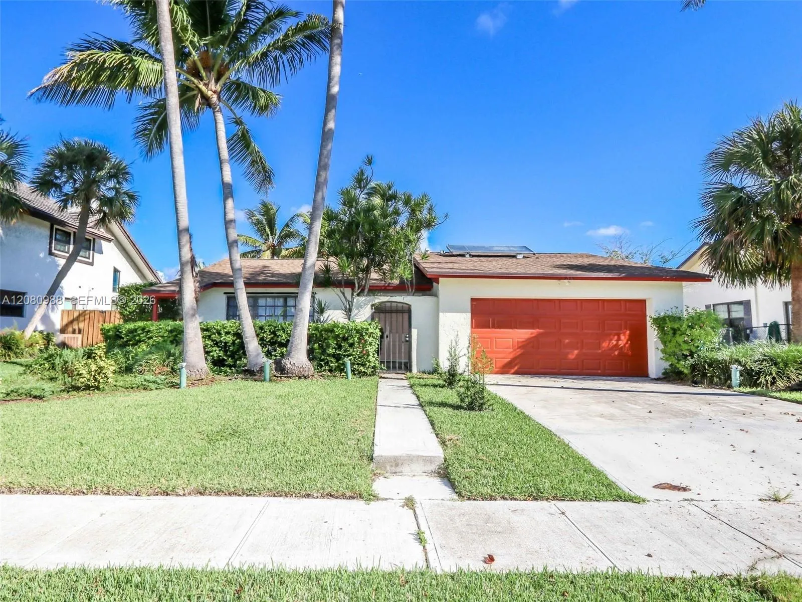 Photo 51