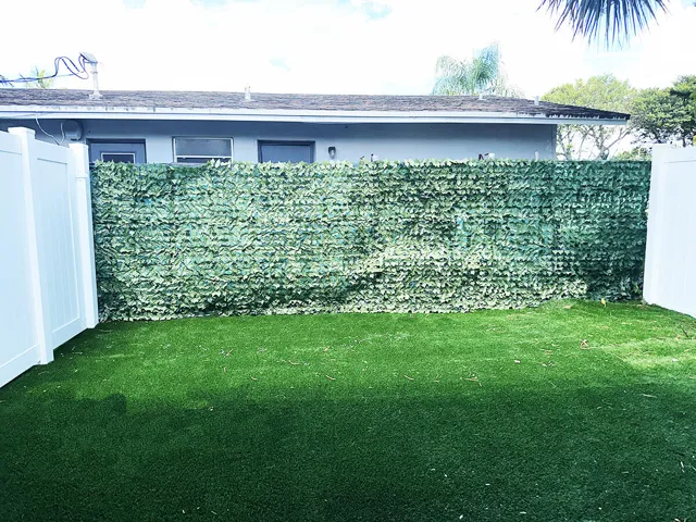 Back Yard
