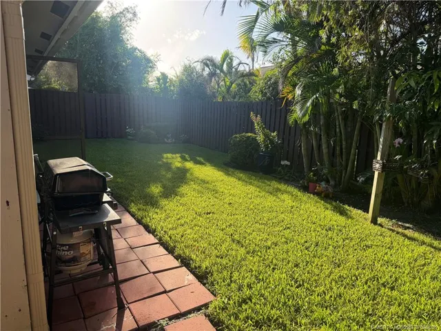 Back yard