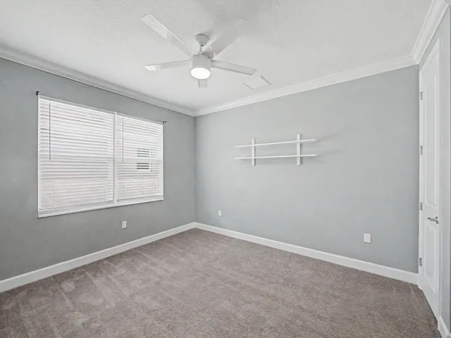 Carpeted room with a ceiling fan, crown molding, window blinds, and a built-in wall shelf