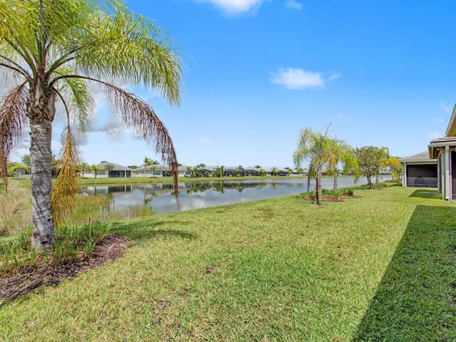 Expansive green lawn with mature palm trees and water frontage