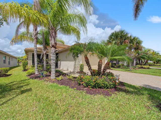 Stucco exterior with a tile roof, mature palm trees, landscaped garden beds, and a paver driveway