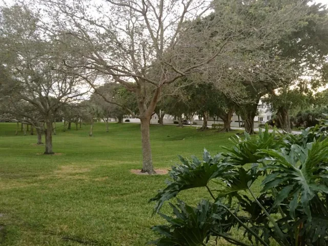 20160301145100481248000000-o