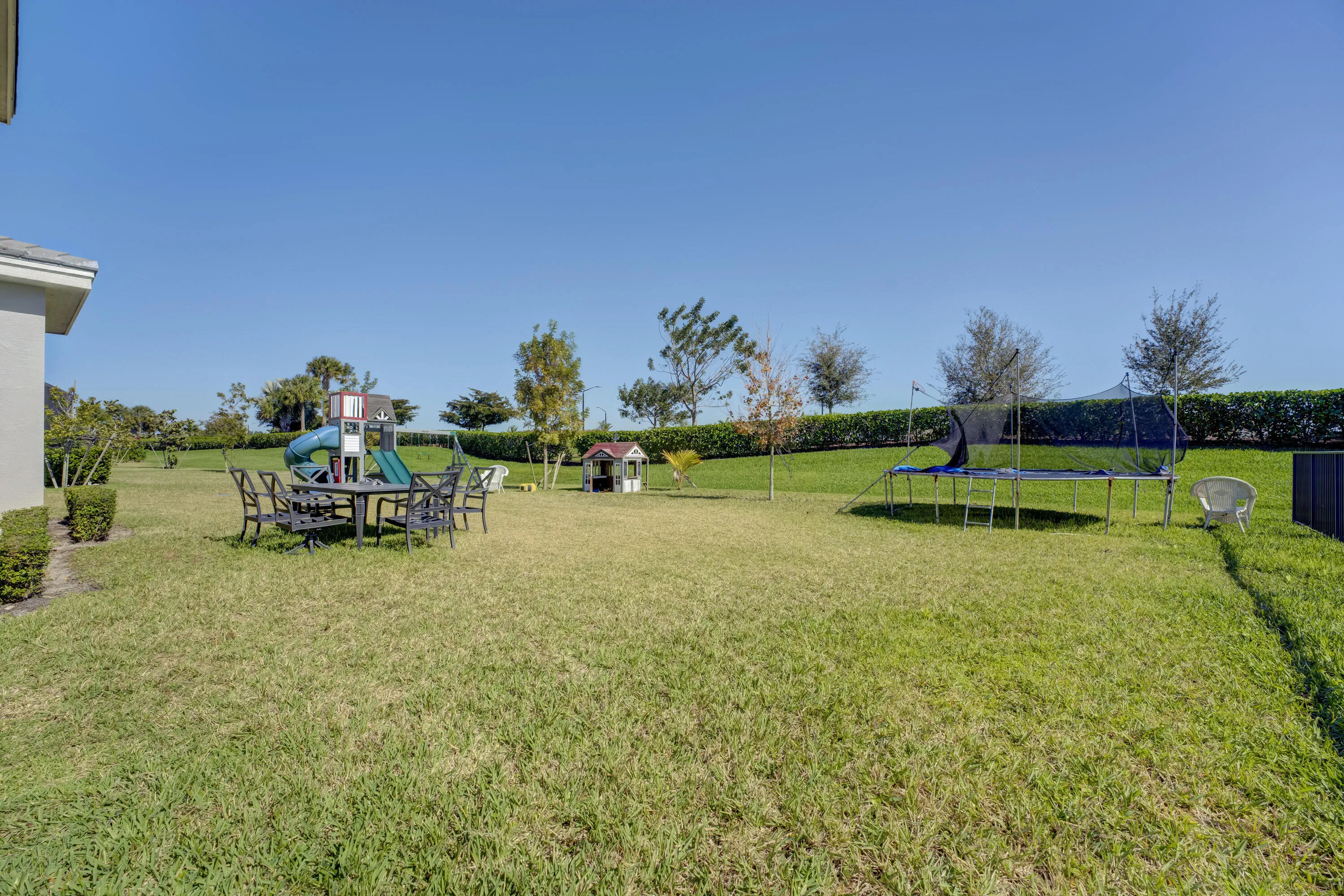 Back yard