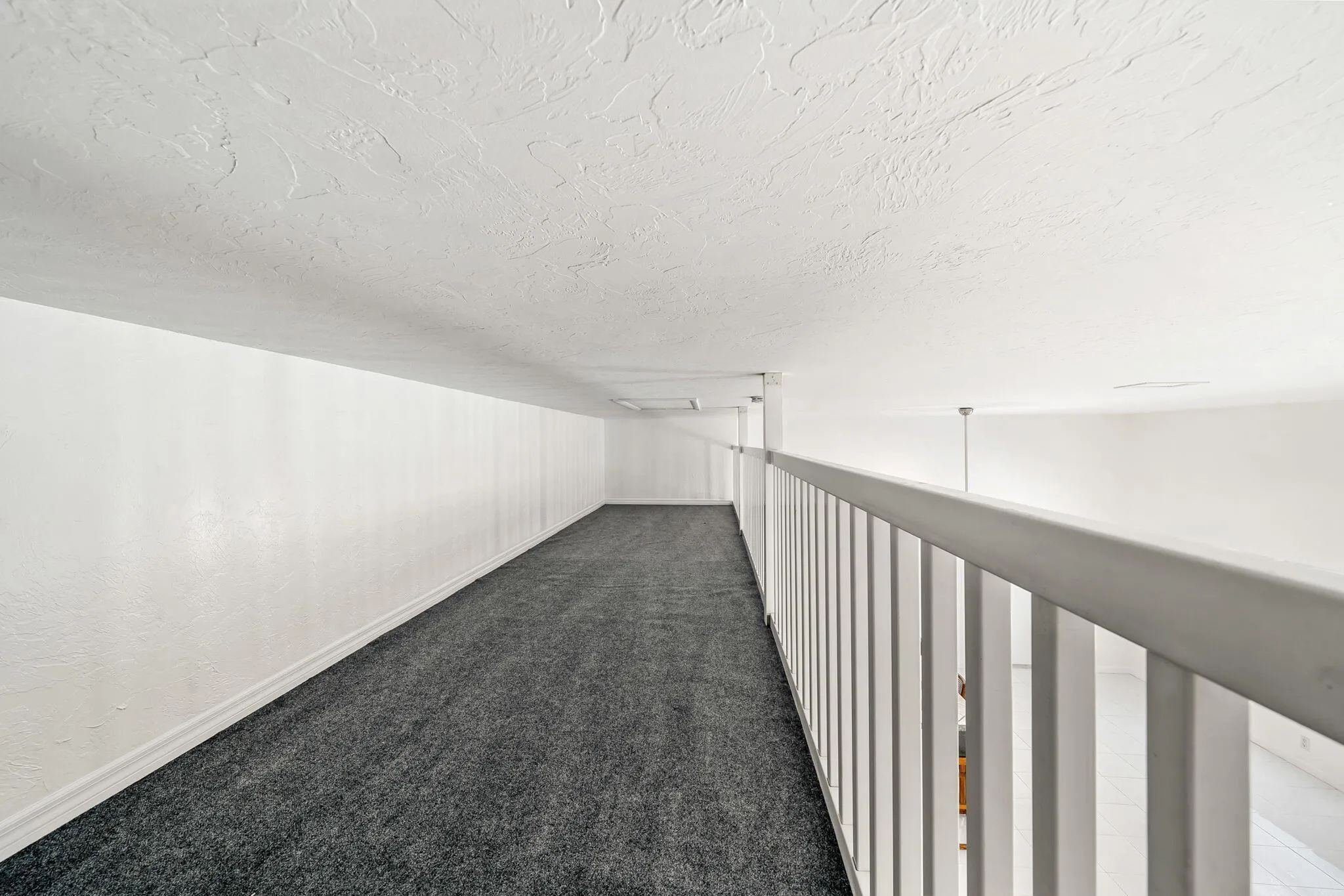 11-web-or-mls-DSC07254