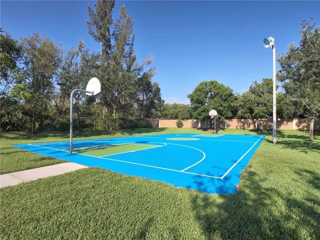 Basketball Court