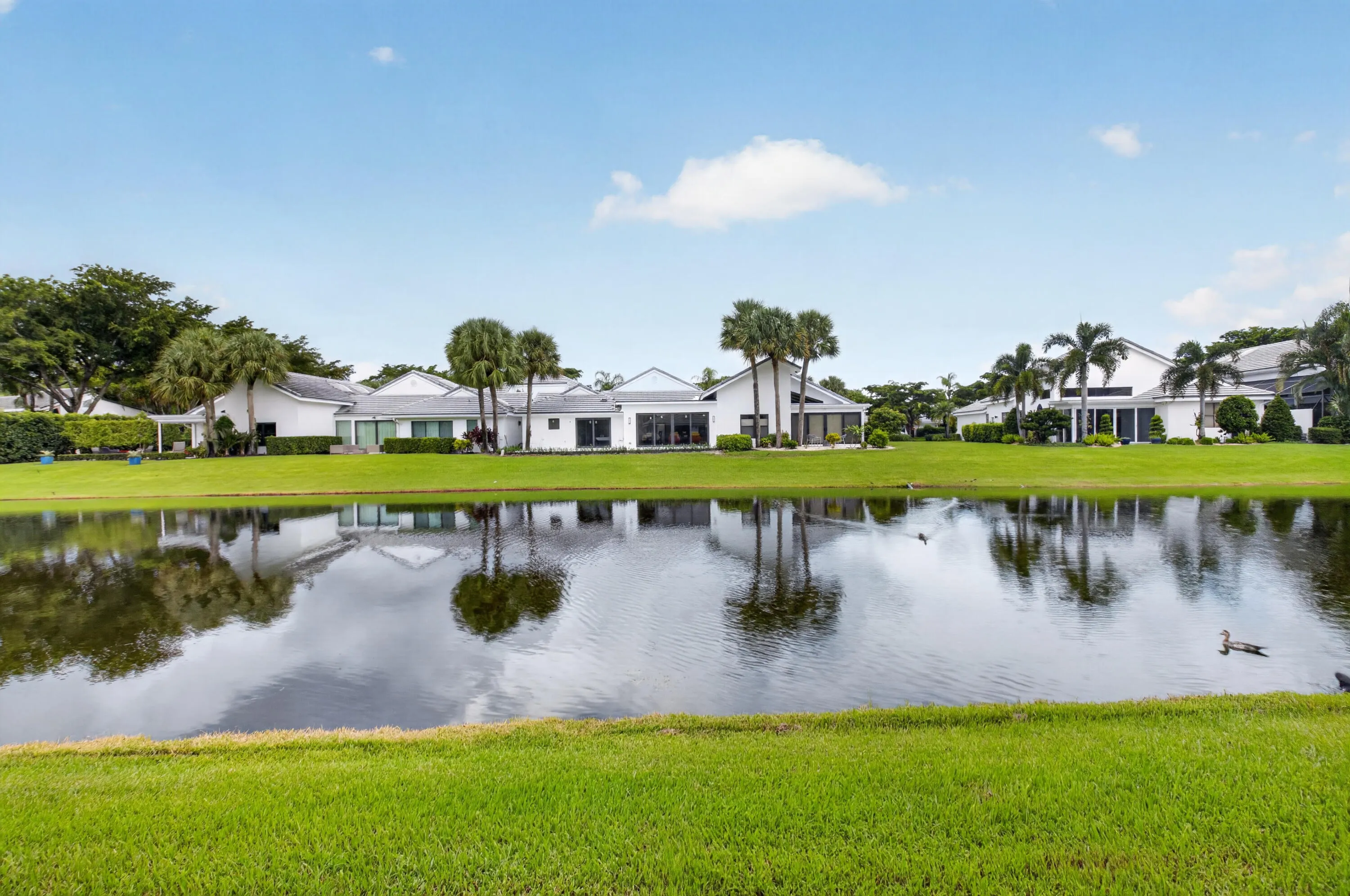 Lakeside property featuring a manicured lawn, established palm trees, and a white exterior with multiple windows