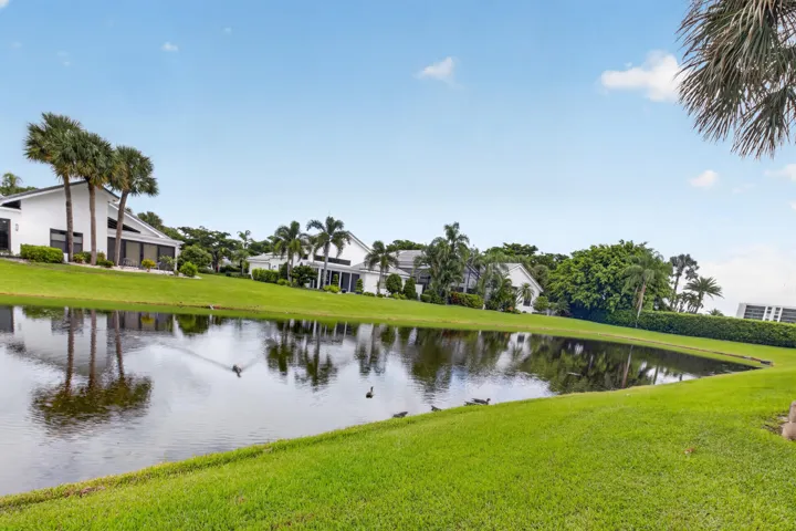 Lush green lawn surrounding a tranquil pond with mature palm trees and contemporary architecture