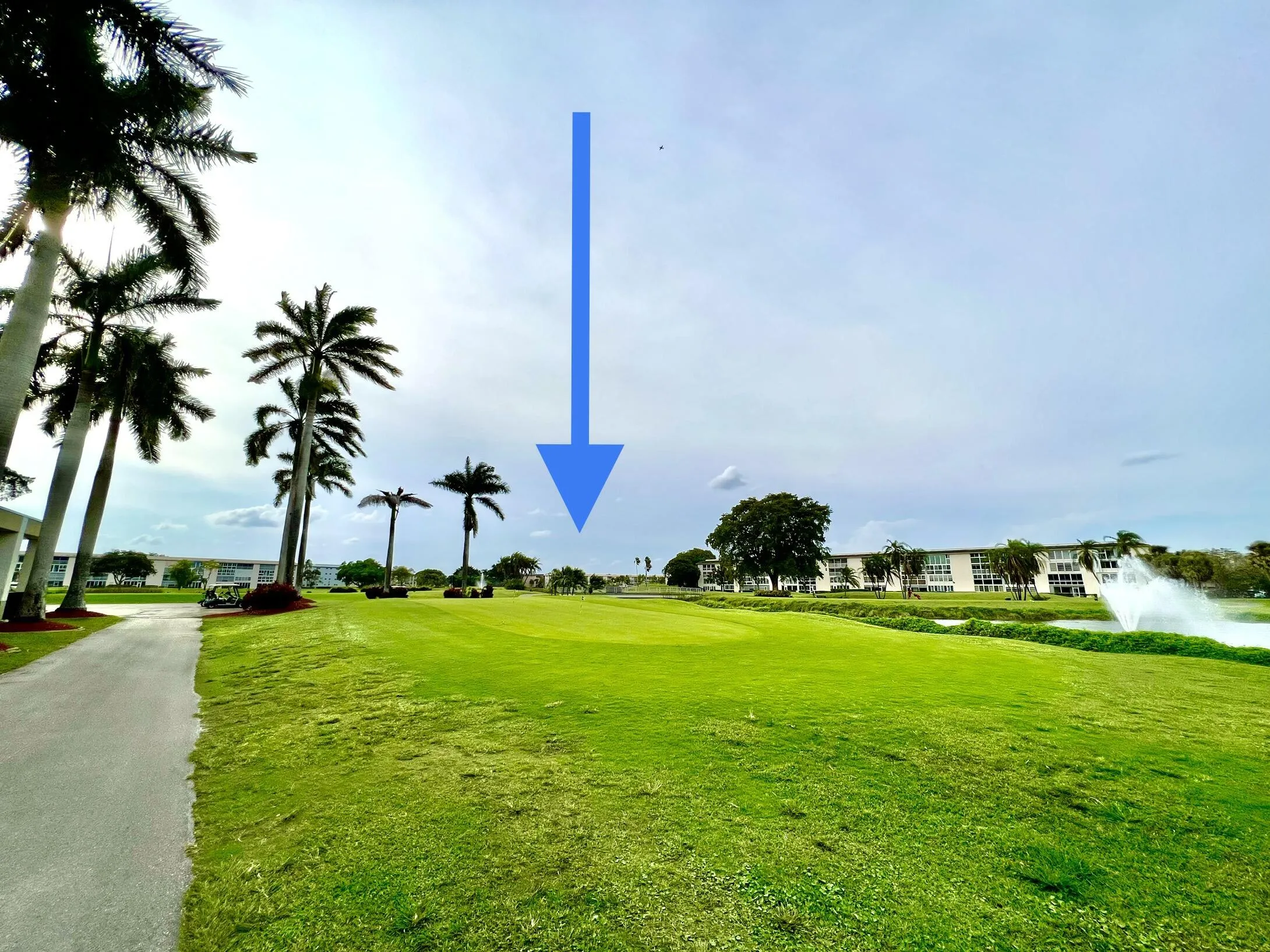 61 WYNMOOR PUTTING GREEN