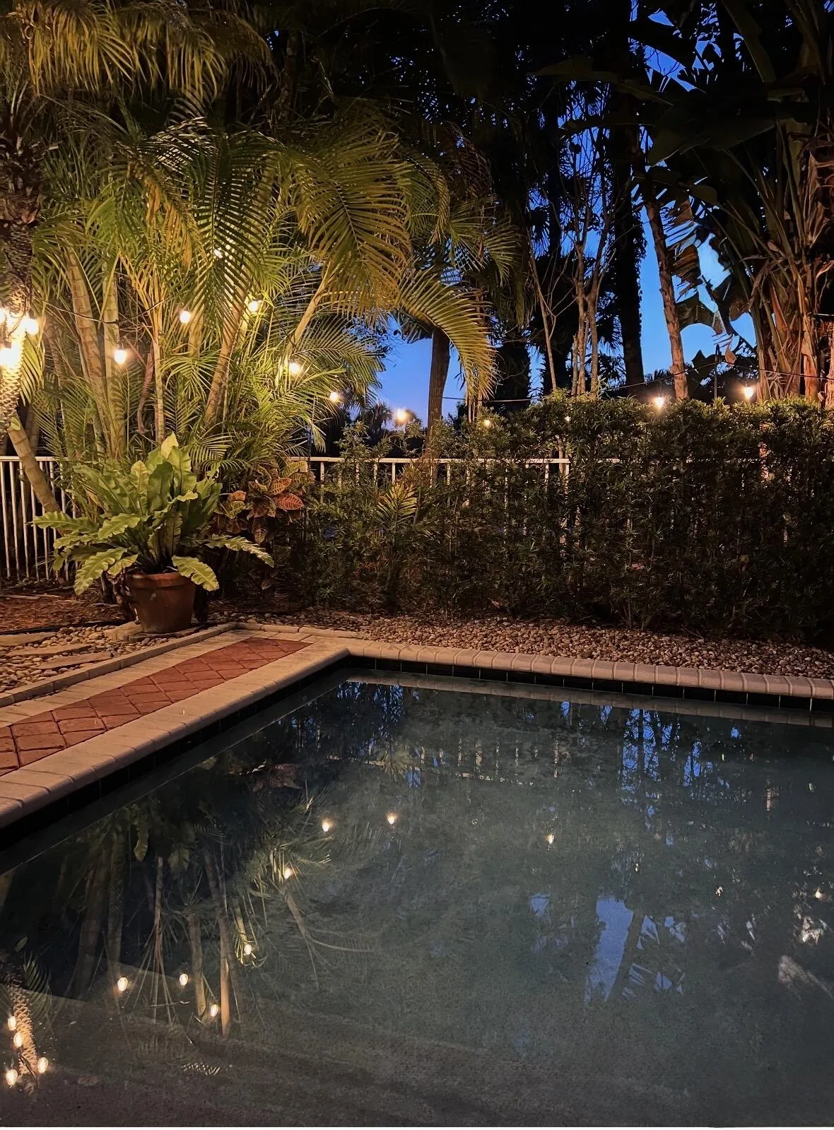 Evening view of the private pool surrounded by mature landscaping and ambient garden lighting.