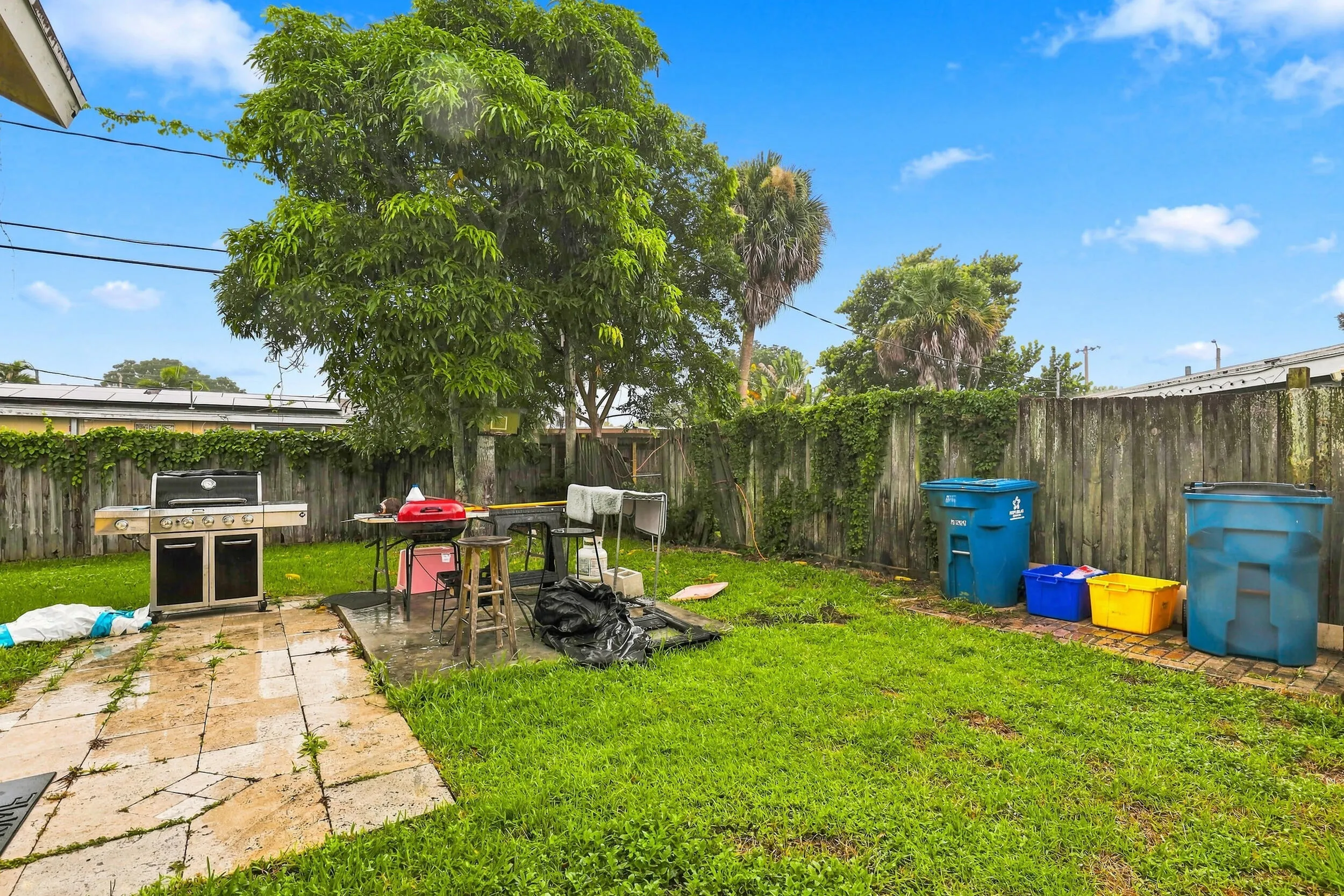 Spacious fenced backyard with mature trees and plenty of open outdoor space.