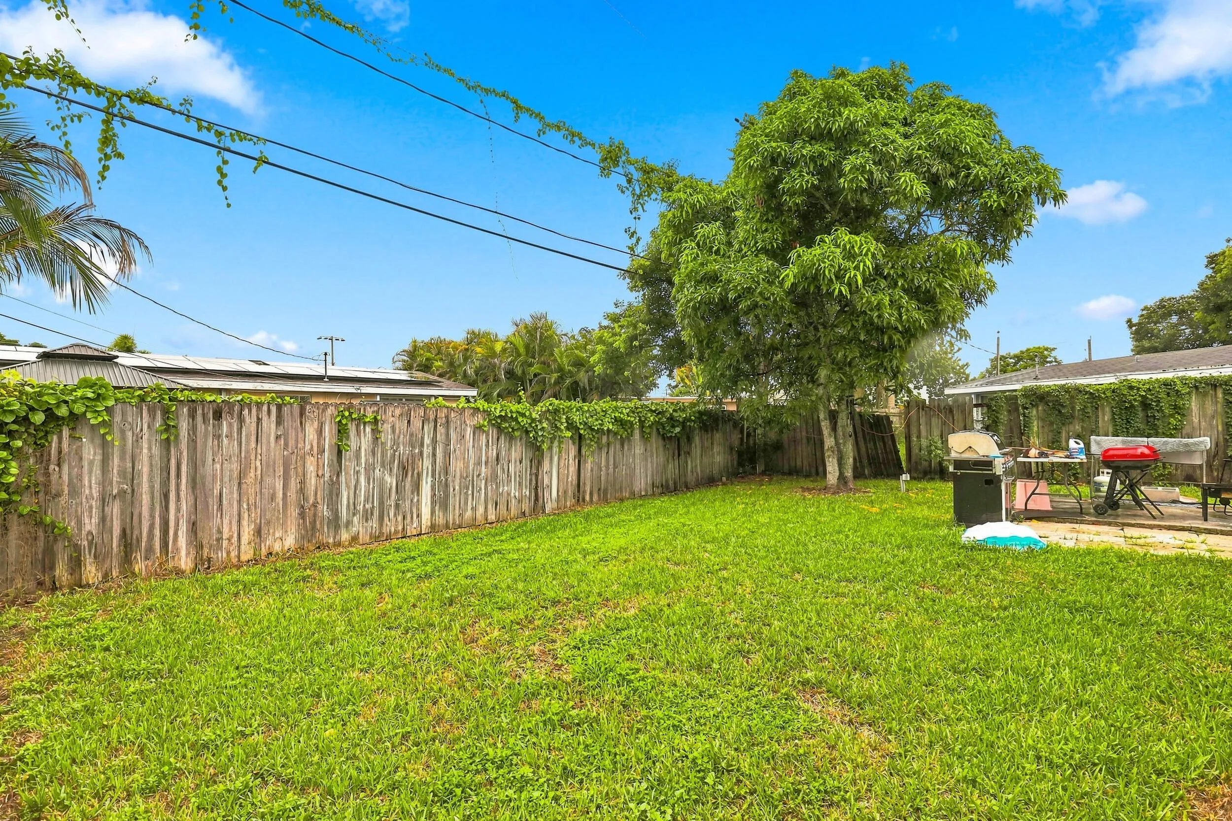 Generous fenced backyard with open lawn, mature trees, and plenty of outdoor space.