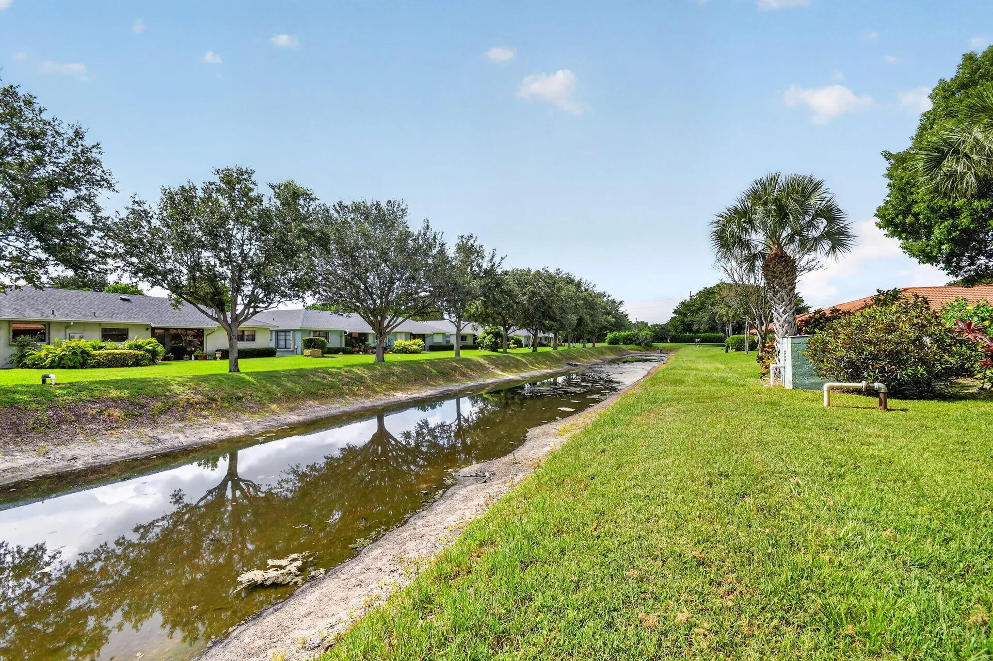 38-web-or-mls-DSC_6602