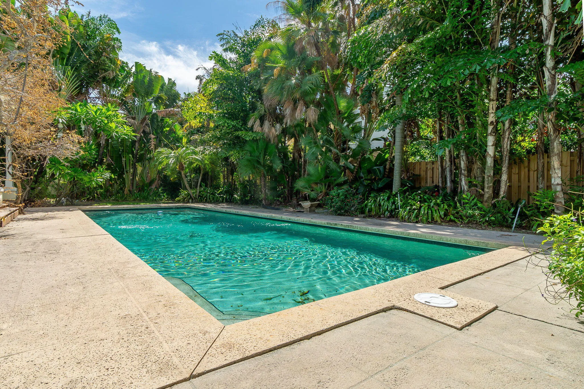 45-web-or-mls-DSC08544