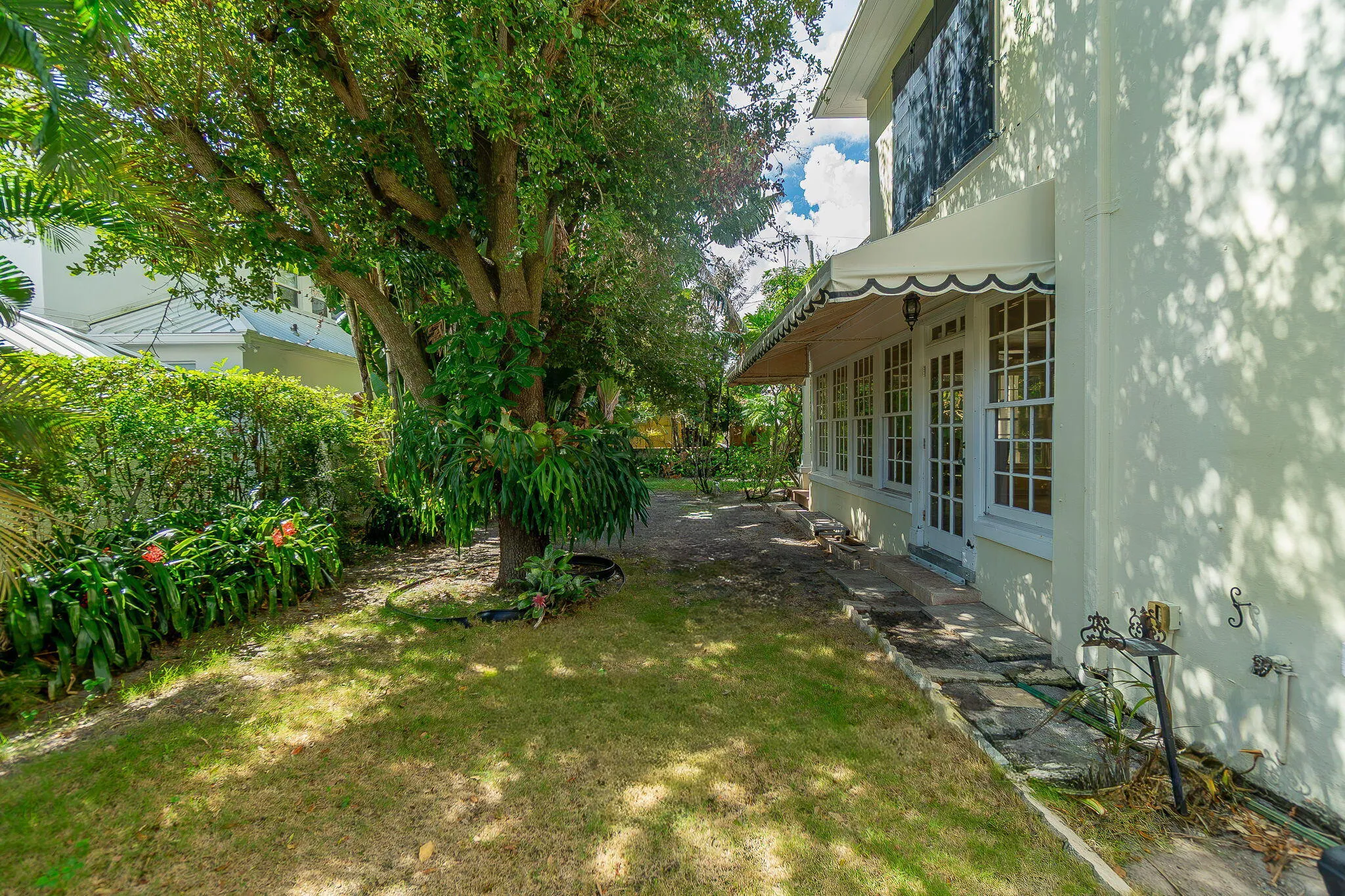 49-web-or-mls-DSC08533